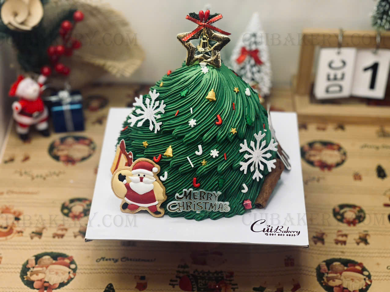 Mẫu Bánh Noel - MNE045