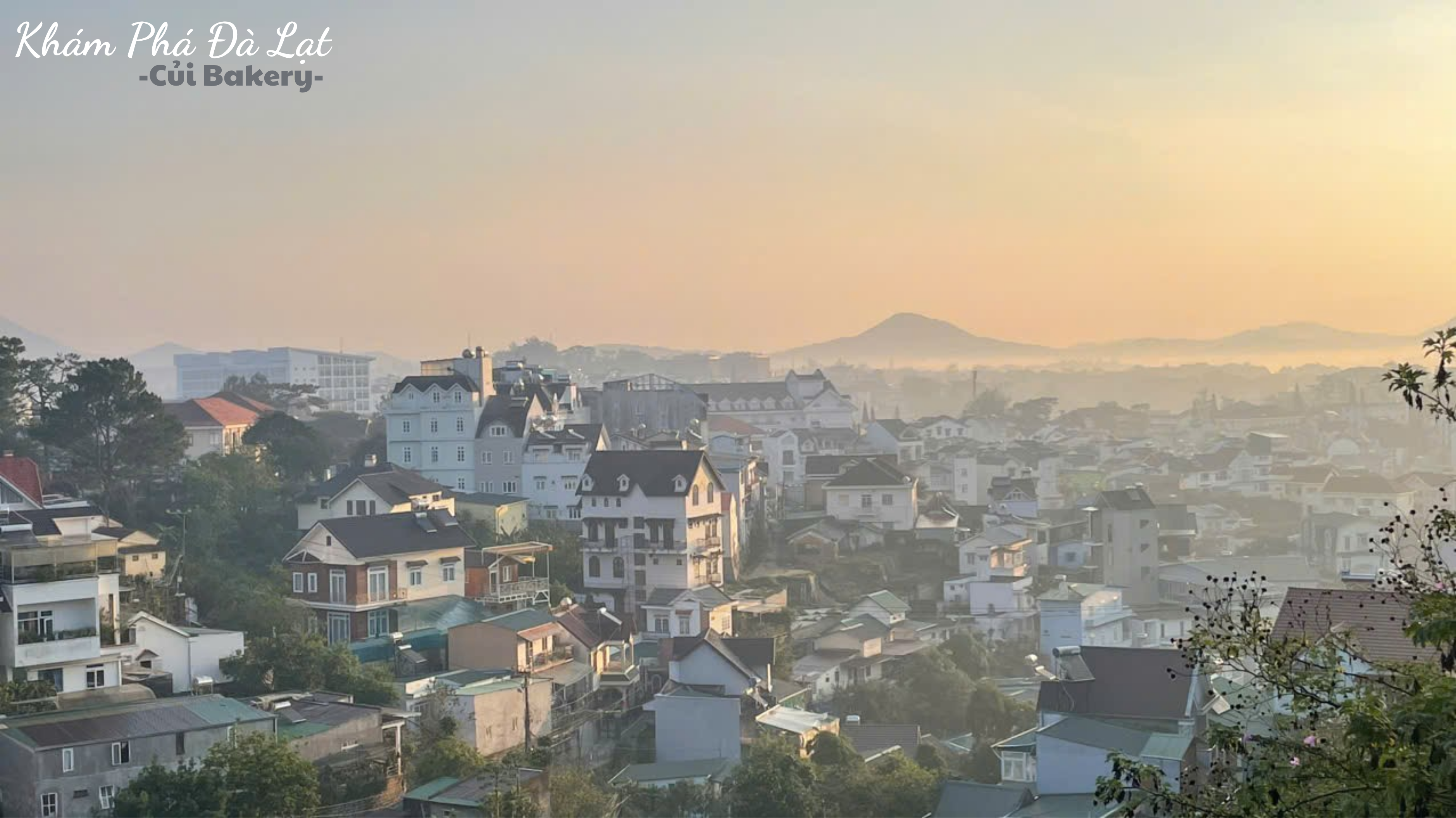 Đi Đà Lạt Lễ 30/4 Không Lo Kẹt Xe: Khám Phá Lộ Trình 24h Hoàn Hảo