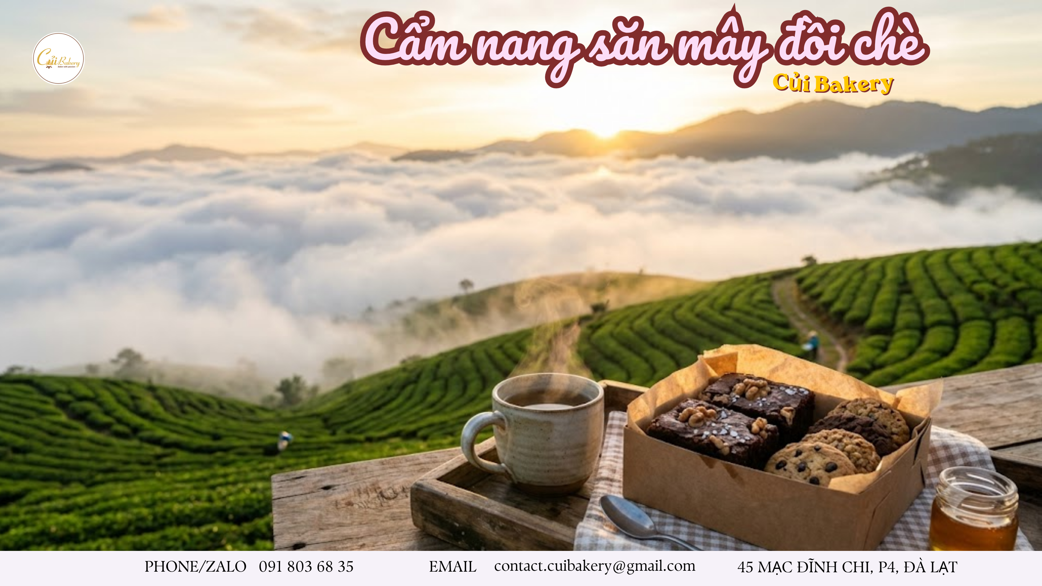Cẩm Nang Săn Mây Đồi Chè Cầu Đất Tự Túc Từ A-Z