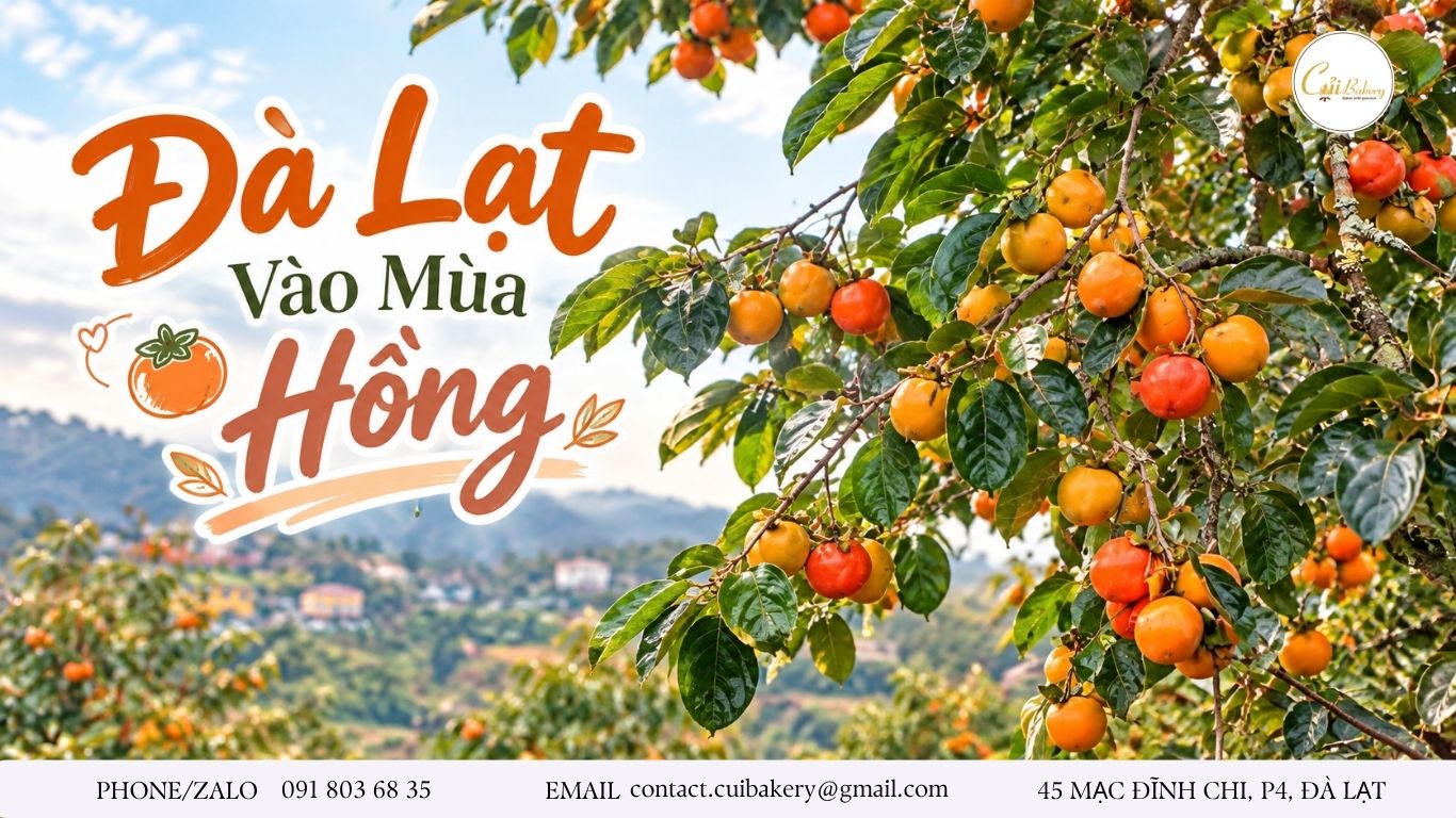 Đà Lạt mùa hồng: Lịch trình ăn chơi 1 ngày | Củi Bakery