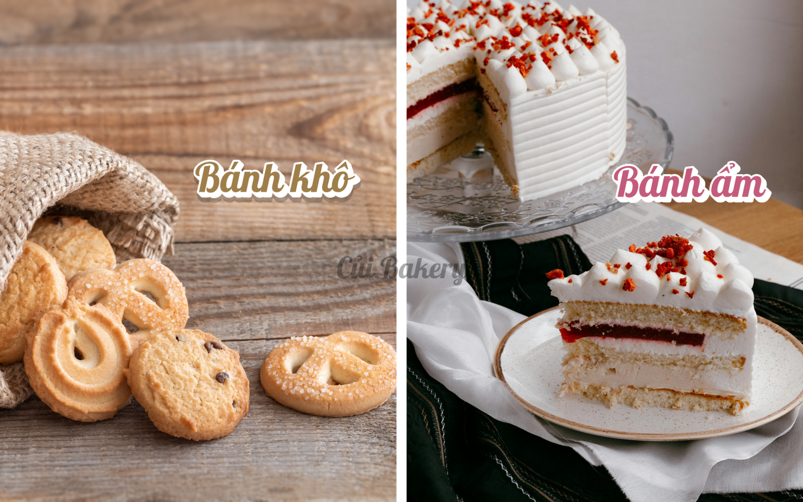 bánh đà lạt, tiệm bánh kem ngon đà lạt, cách bảo quản bánh khi đi xa